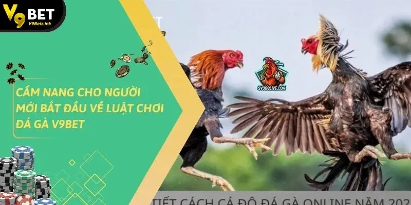 Đá Gà v9bet